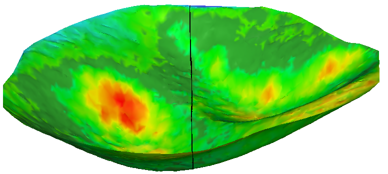 SectionOnInspectedMesh_SectionPlaneY.png