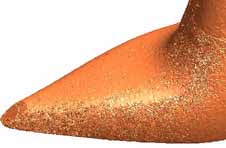 3DRAppShoe2_2.JPG