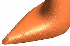 3DRAppShoe1_2.JPG
