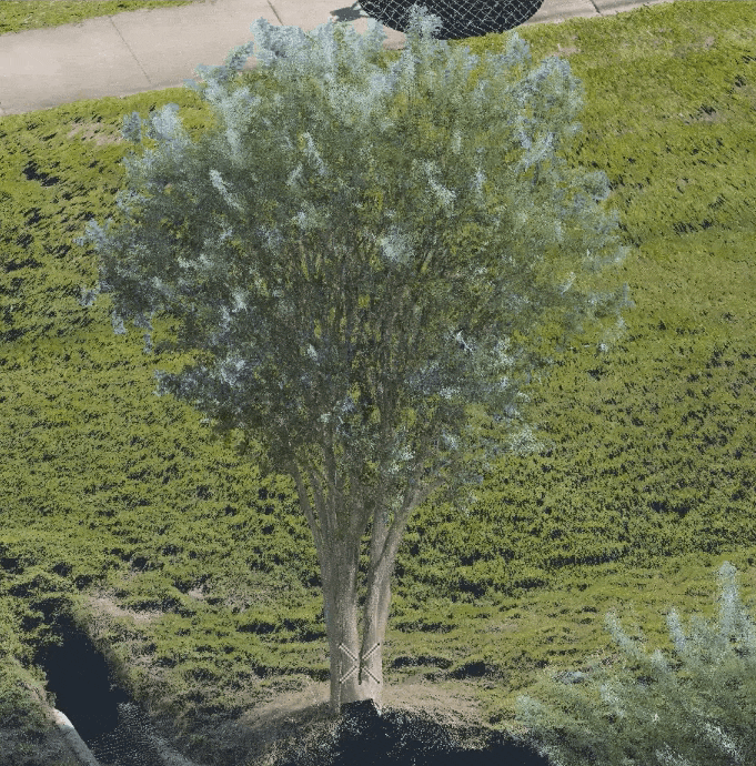 Recording 2026-07-24 at 16.00.50.gif