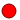 color.png