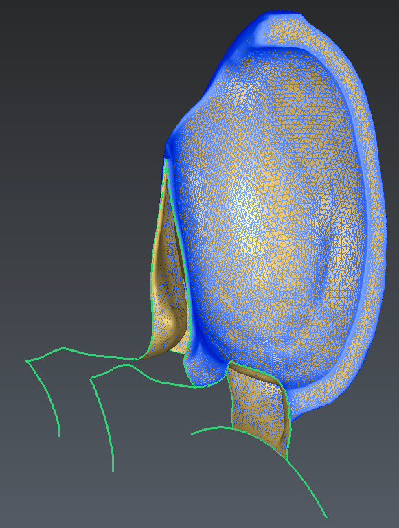 FinalMesh.PNG
